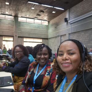 UN Habitat Second Assembly